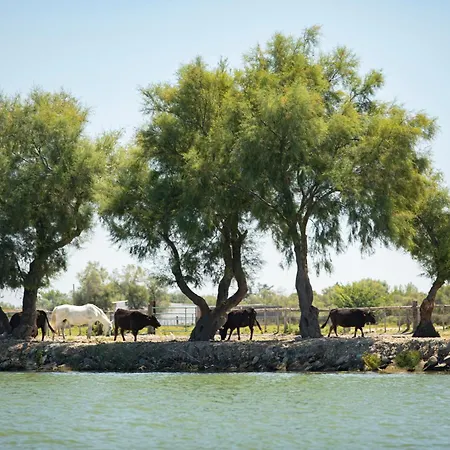Otel Mas De La Fouque - & 4*